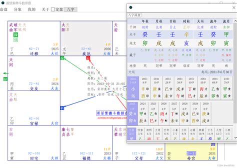 紫微方位|灵匣网的紫微斗数在线排盘系统